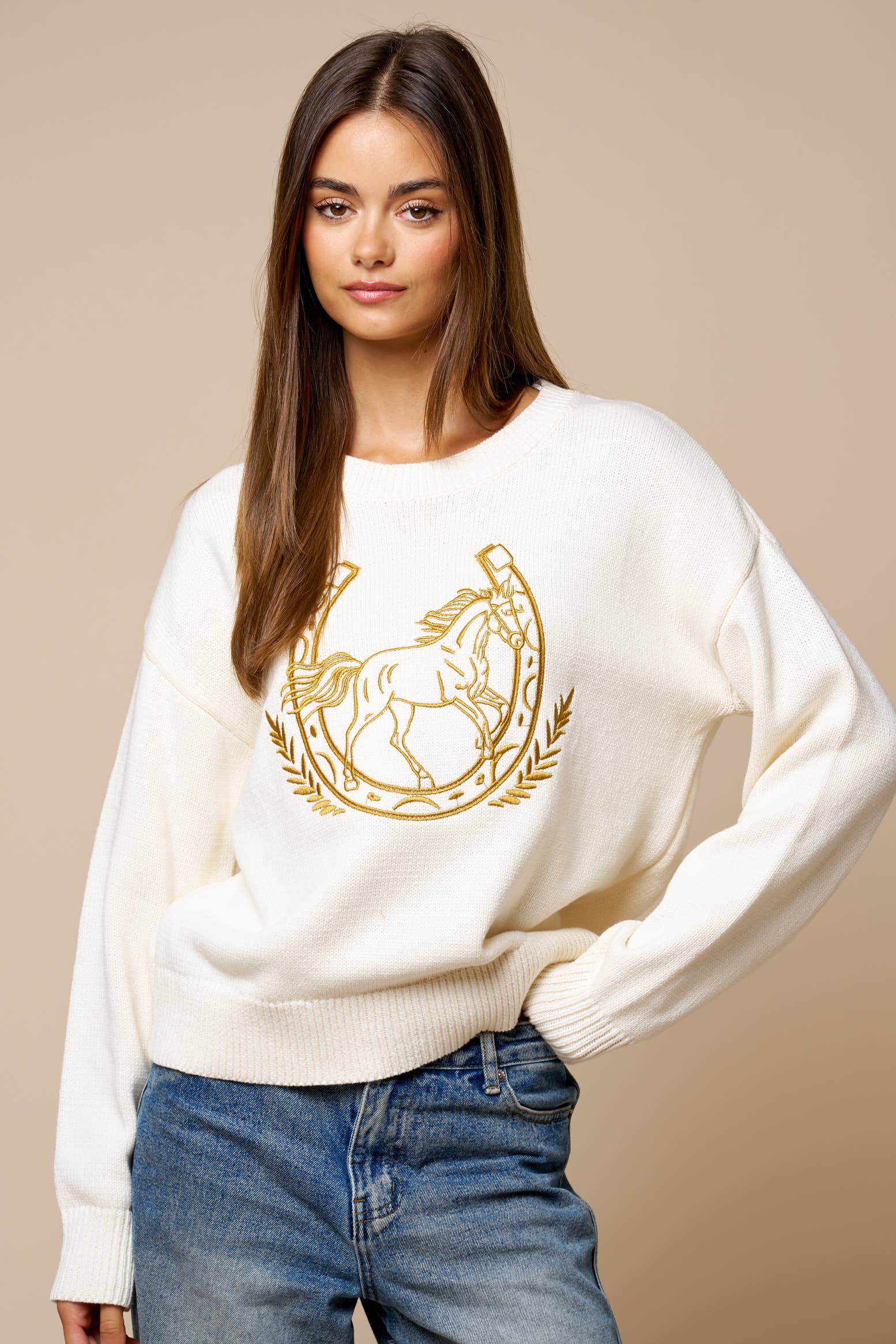 Embroidered Crewneck Sweatshirt
