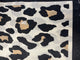 Leopard Print Scarf
