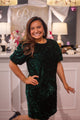 Velvet Embroidered Sequin Detail Knee Dress