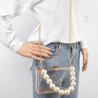 Pearl_Handle_Transparent_Frame_Clutch_3_am_by_H&D_Accessories_HPC3440_1