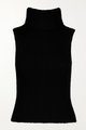 Colette Sleeveless Turtleneck